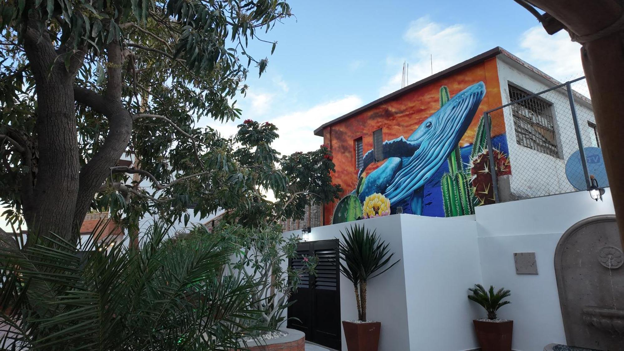 Marjor Suites La Paz Extérieur photo